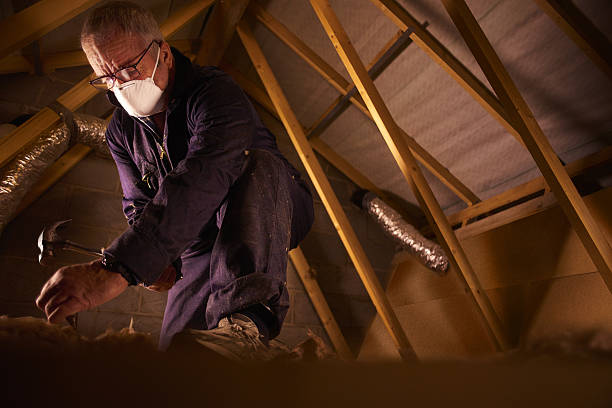 Types of Insulation We Offer in St Joseph, IL
